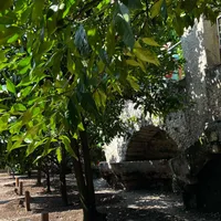 Limone direkt am Gardasee, wunderschöne Zitronengärten